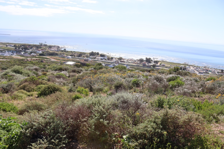 0 Bedroom Property for Sale in Steenbergs Cove Western Cape
